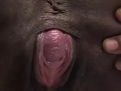 Lactamanija - keisha