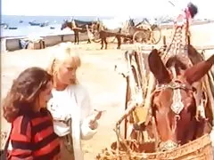 Vokiečių Klasikinė