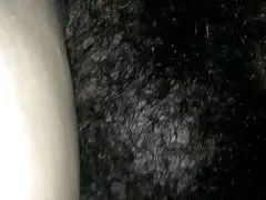 Didelis krūmas marie