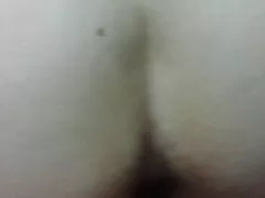 Pakliuvom šuniškas stilius