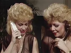 Norėčiau sužinoti daugiau apie pussys