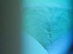 Plaukuotas šviesūs rauginimo sporto salėje